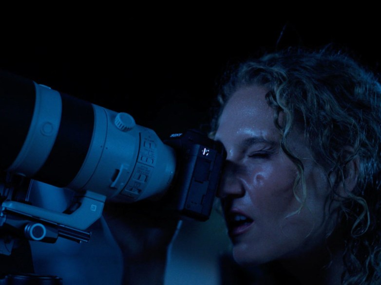 Star People Glow Under Brilliant Phoenix Lights